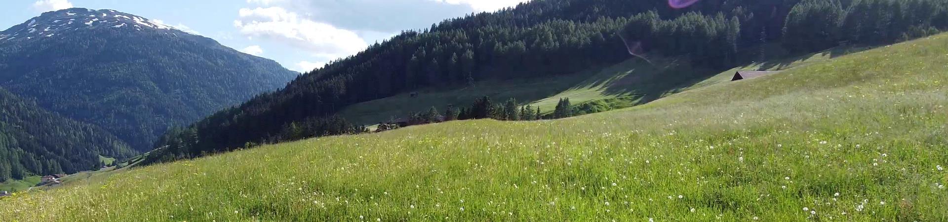 eine große grüne Wiese mit einem Berg im Hintergrund
